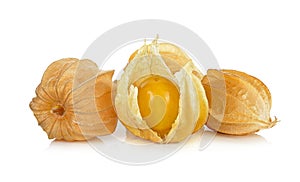 Physalis fruit isolated on the white background