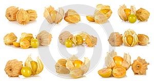 Physalis fruit isolated on the white background