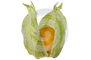 physalis fruit
