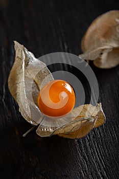Physalis fruit isolated on white background