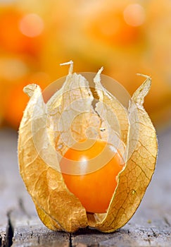 Physalis fruit
