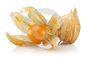 Physalis fruit or winter cherry isolated on white