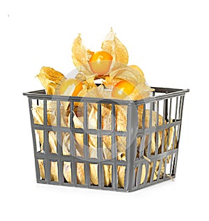 Physalis fruits in plastic basket
