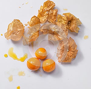 Physalis gooseberries