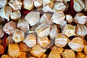 Physalis ground cherry fruit at the farmers market