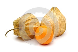 Physalis Group