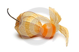 Physalis Group