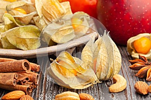 physalis group on wood