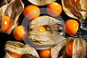 physalis group on wood