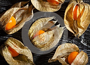 physalis group on wood