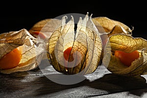 physalis group on wood