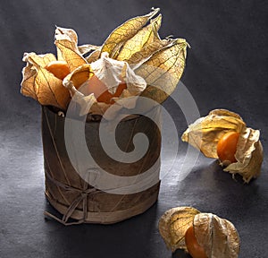 Physalis in the light