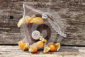 Physalis