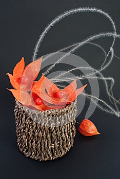 Physalis and mat-grass