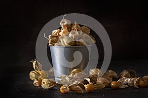 Physalis on Metal Container.  physalis fruit on black background.