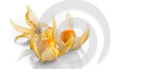 Physalis peruviana. Cape Gooseberries over white background. Ripe fresh Physalis closeup photo