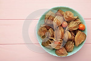 Physalis peruviana fruit on mint plate on pink background