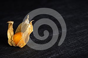 Physalis peruviana, Peruvian strawberry - Aztec fruit, medicinal plant