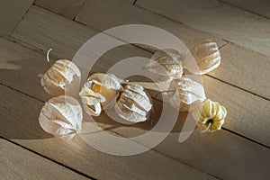 Physalis peruviana ripened orange yellow cape gooseberry goldenberry edible tasty ingredient fruits spread on wooden background