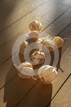 Physalis peruviana ripened orange yellow cape gooseberry goldenberry edible tasty ingredient fruits spread on wooden background