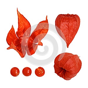 Physalis Physalis alkekengi fruit with the red husk in various views