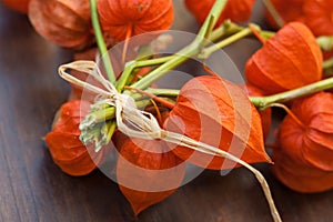 Physalis picked in fall and used as decor on a table