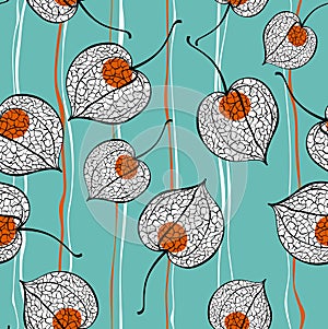 Physalis seed pattern