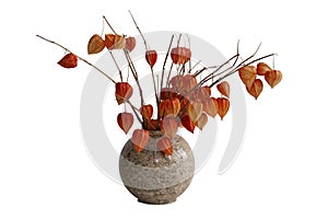 Physalis (tomatillo) in the vase