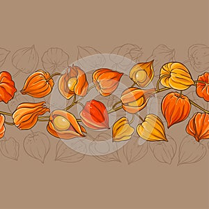 Physalis vector pattern