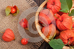 Physalis in a wicker basket on the table