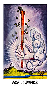 Ace of Wands Tarot Card Initiative Creative Inspirational Drive, Ambition, Adventure, Excitemen photo