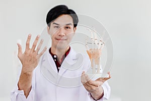 Physical Doctor with hand palm model showing anatomy in hand muscular system tendons ligaments