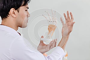 Physical Doctor looking at palm compare with model for understand Anatomy of hand muscular system tendons ligaments