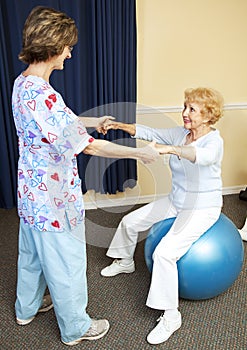 Physical Therapy Workout