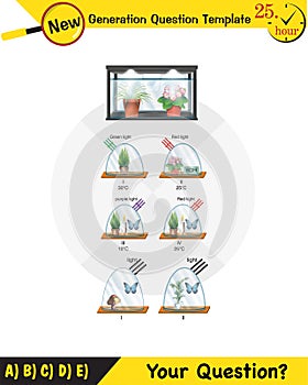 Physics, Joseph priestley`s experiment, Photosynthesis phenomenon of plant experiment