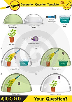 Physics, Joseph priestley`s experiment, Photosynthesis phenomenon of plant experiment