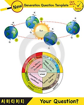 Physics, movements of the earth around the sun, formation of the seasons