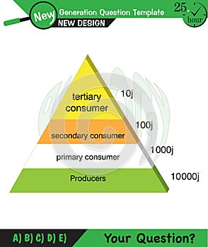 Physics, Vector Illustration of food chain - energy pyramid - educational infographic, question template
