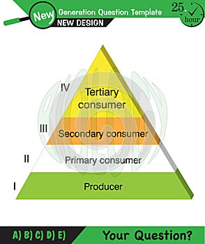 Physics, Vector Illustration of food chain - energy pyramid - educational infographic, question template