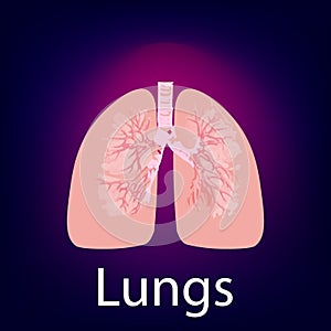 Physiological lungs icon. Sign for a medical clinic. Vector symbol advertising health and treatment of pneumatology disease.