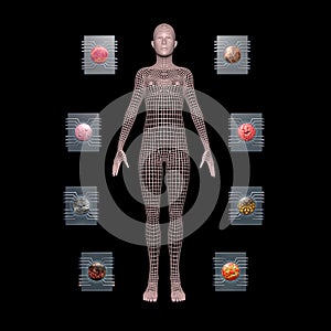 Physiomimetic technology. Organs on a chip. 3d render View 4ing illustration. View 4
