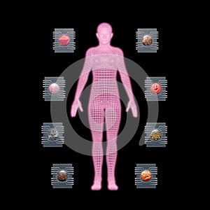 Physiomimetic technology. Organs on a chip. 3d rendering illustration. View 4 photo