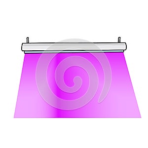 Phyto lamp for plants hanging on ceiling. Purple light of lamp with LED infrared and UV light. Colored vector stock illustration.