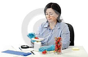 Phytocontrol engineer weighing strawberries