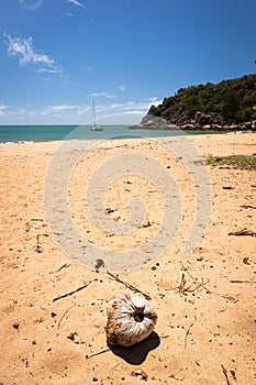 Pi Bay on Magnetic Island in Townsville, Queensland, Australia