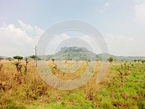 Pian Upe Game reserve Eastern Uganda