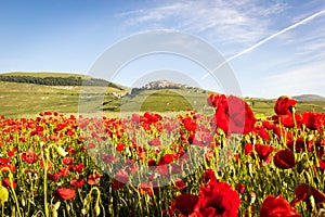 Piana Piccola, Castelluccio di Norcia