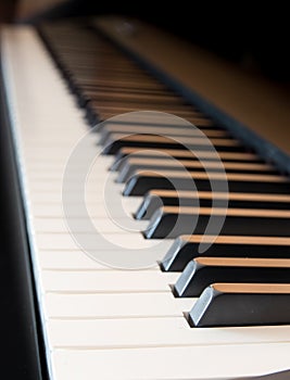 Piano black and white keys photo