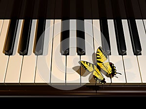 Piano and butterfly