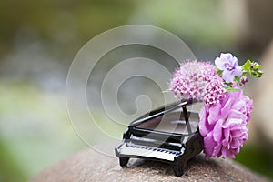 Piano flower river background nobody